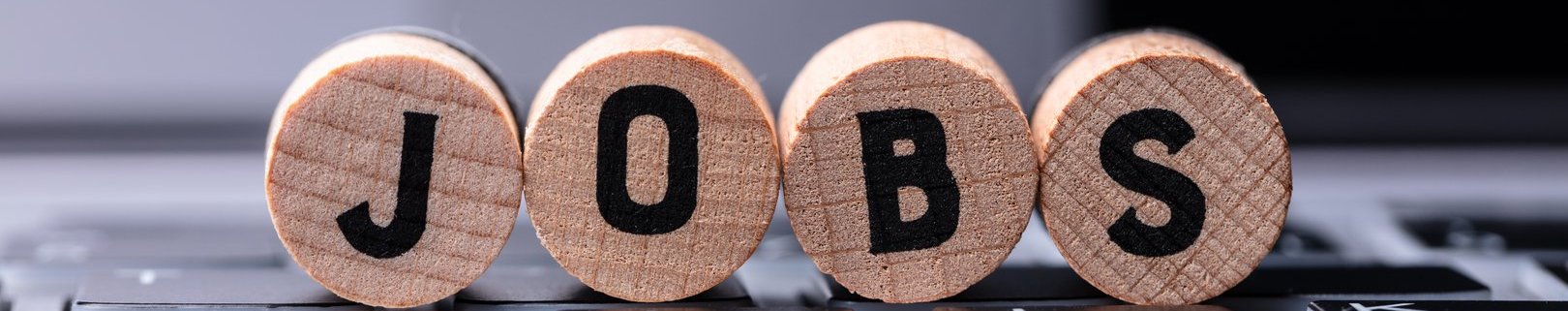 Stelleangebote bei Holz Steinebach